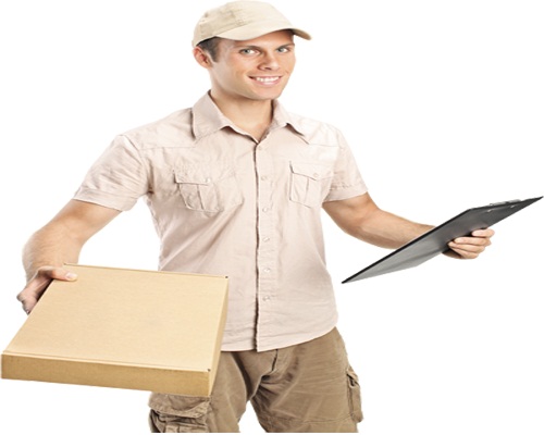 International Courier Services